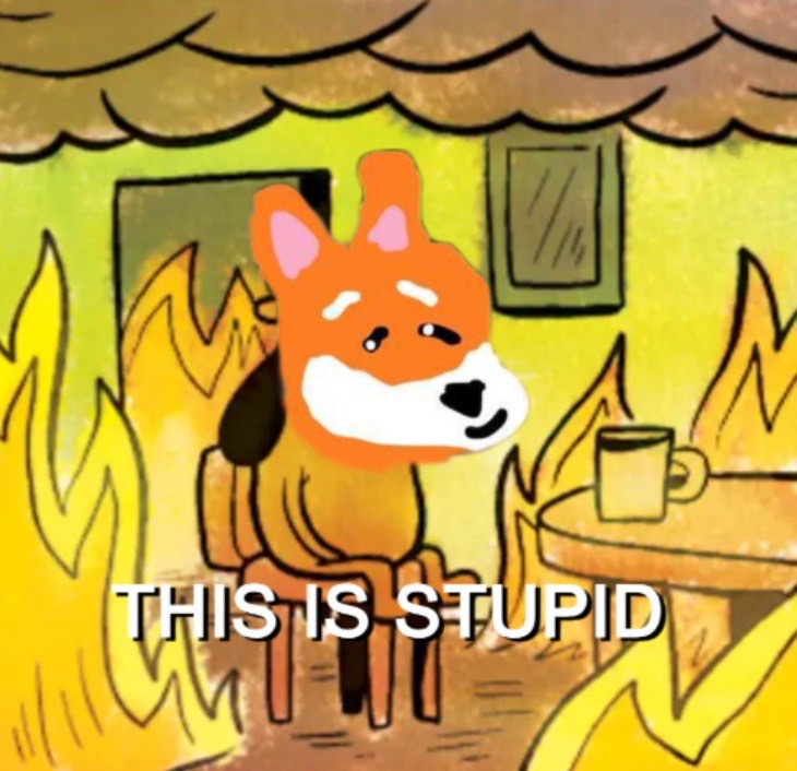 Meme 205 - MEME_205.JPG