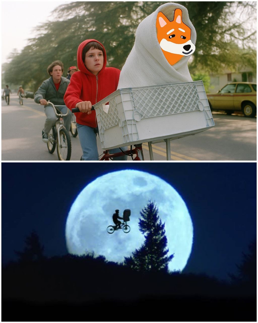 Meme 282 - MEME_282.JPG