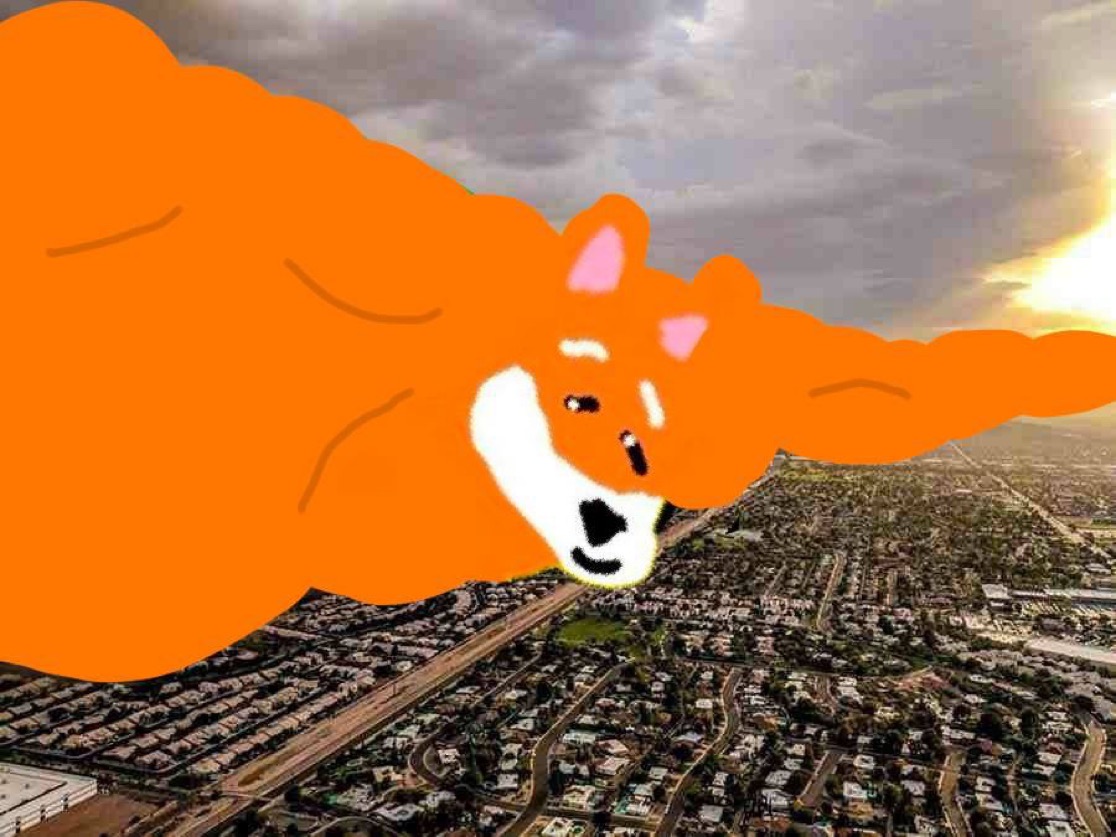 Meme 34 - MEME_34.JPG