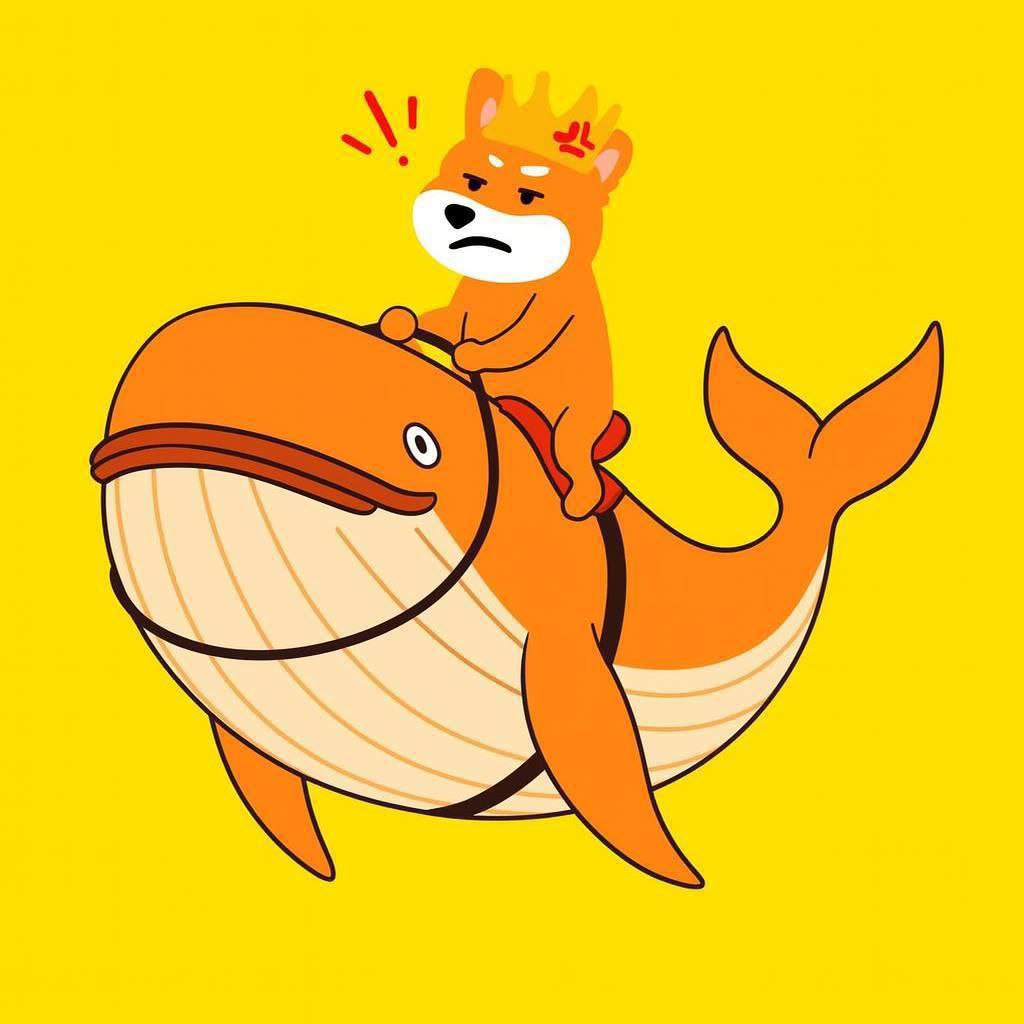 Meme 35 - MEME_35.JPG