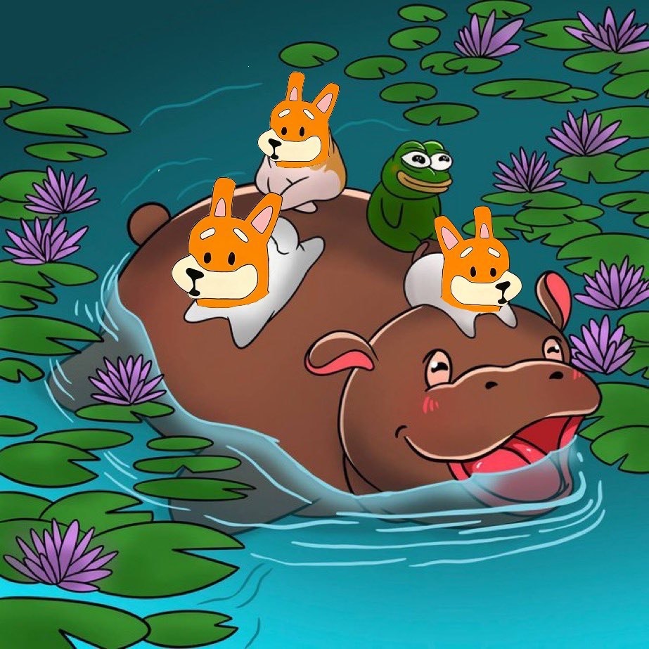 Meme 362 - MEME_362.JPG