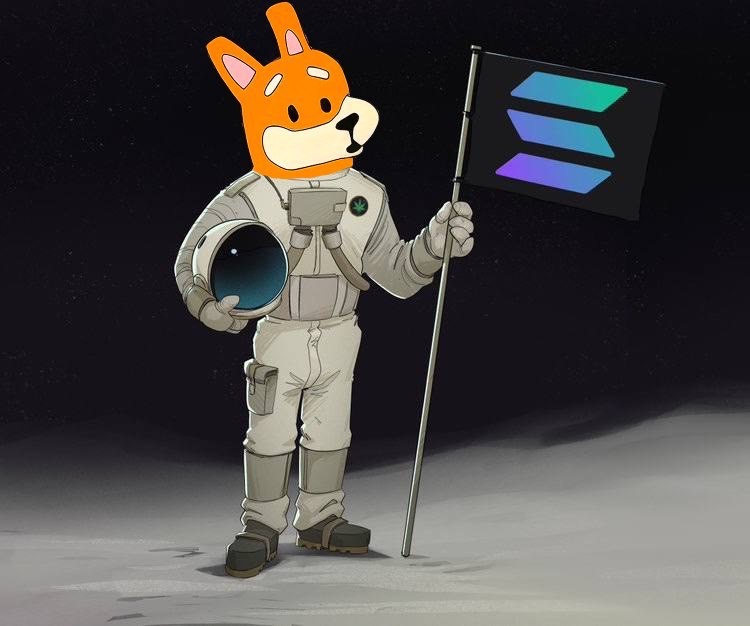 Meme 379 - MEME_379.JPG