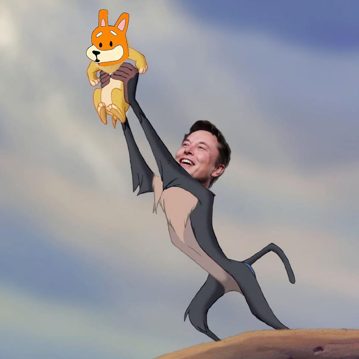 Meme 417 - MEME_417.JPG