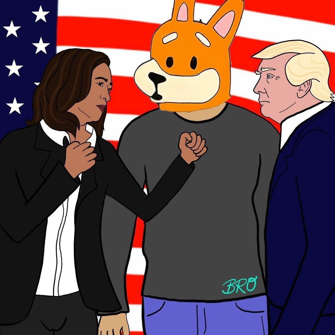 Meme 519 - MEME_519.JPG